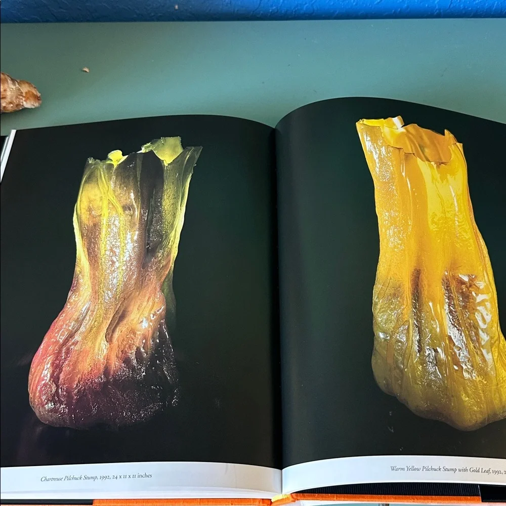 Chihuly “Form From Fire “ Glass Artist Art Book Stunning Photos